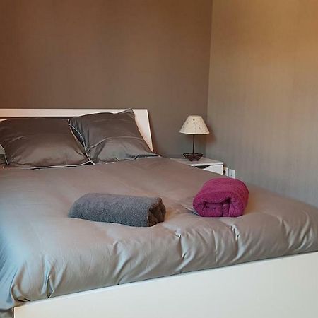 Appartement T3 A Belley Au Calme Avec Jardin Privatif Εξωτερικό φωτογραφία